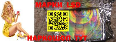 СК Обнинск
