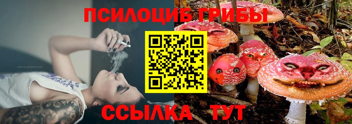 Псилоцибиновые грибы Psilocybine cubensis  Псилоцибиновые грибы Cubensis  Вход с VPN  Трёхгорный 